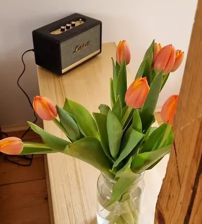 Konselsky Senk 3* דומז'ליצה