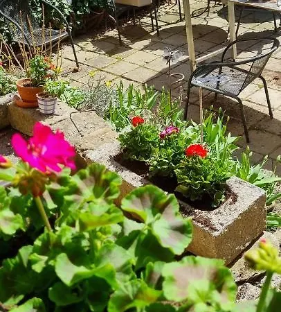 Konselsky Senk דומז'ליצה