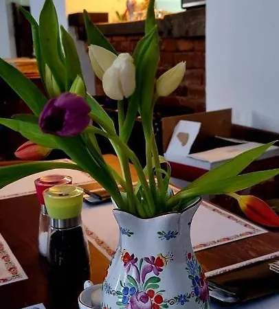 Konselsky Senk בית הארחה