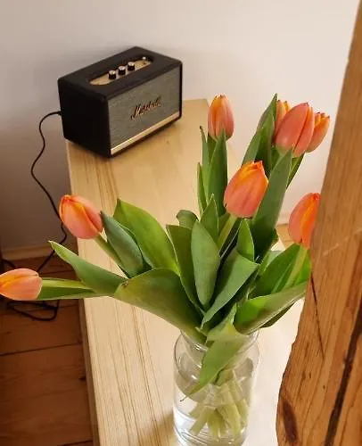 Konselsky Senk 3* Domažlice