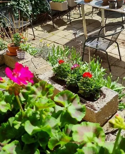 Konselsky Senk Domažlice